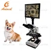 binocular microscope